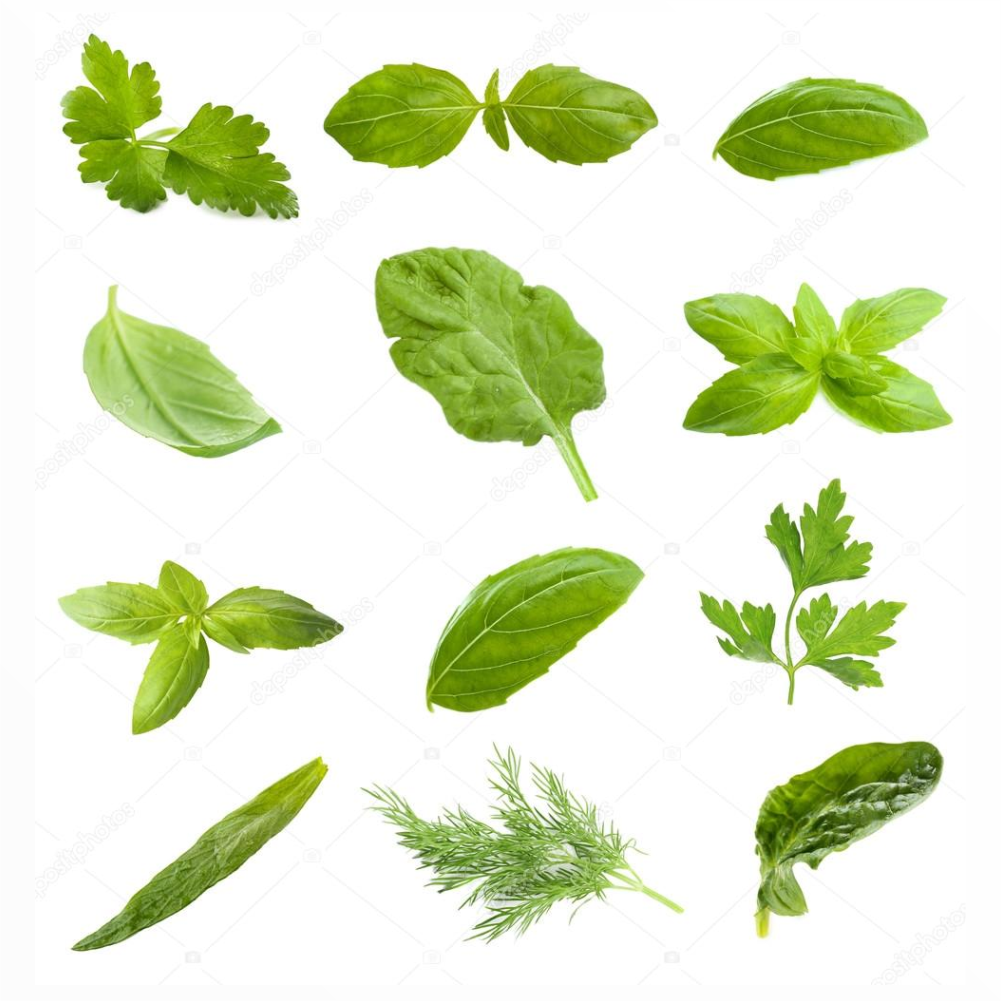 Leaf