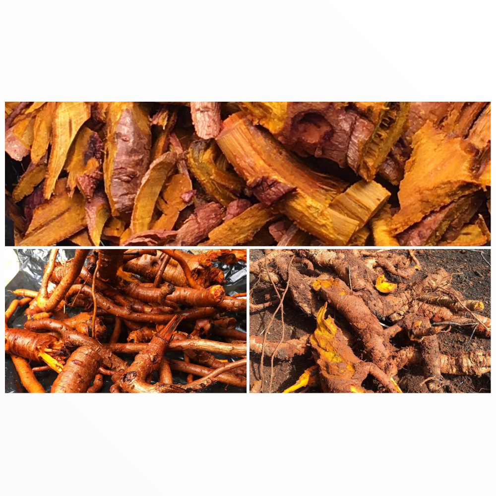 Roots